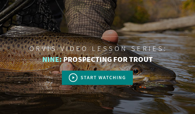 trout video