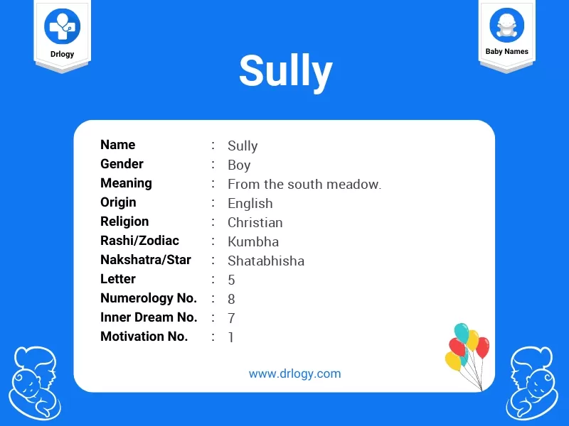 sully meaning in telugu