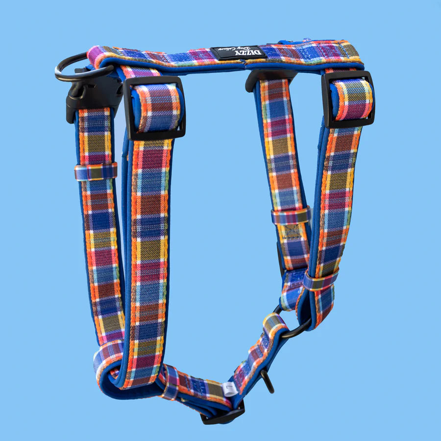 dizzy dog harness