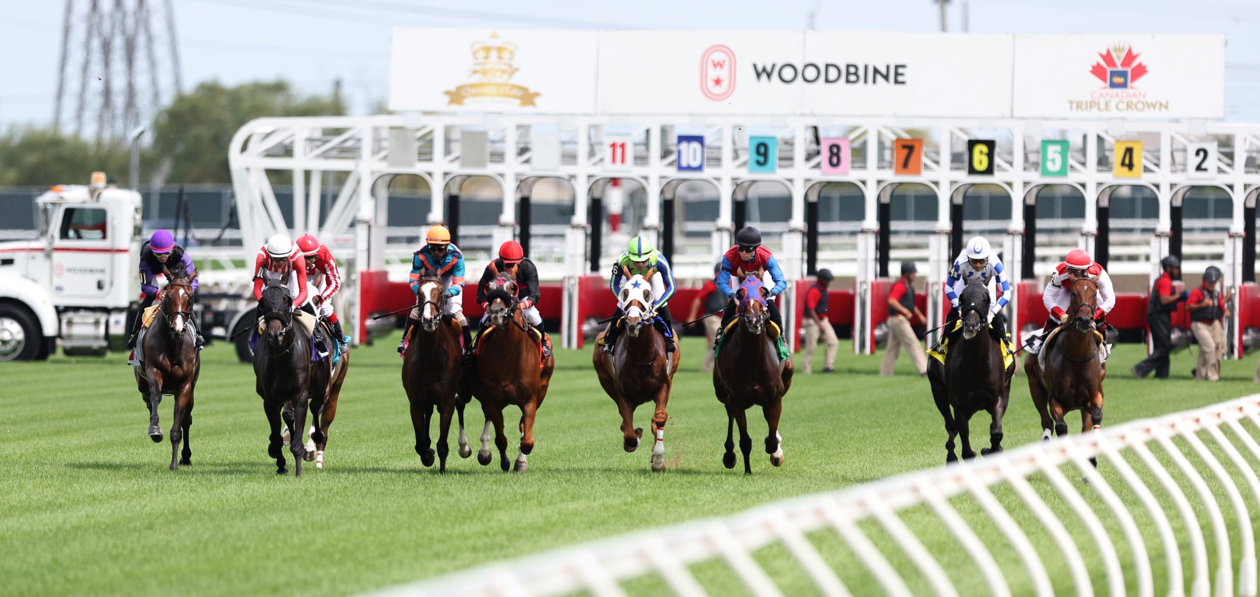 woodbine races results