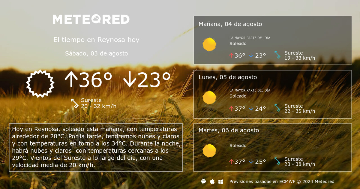 clima actual en reynosa tamaulipas por hora