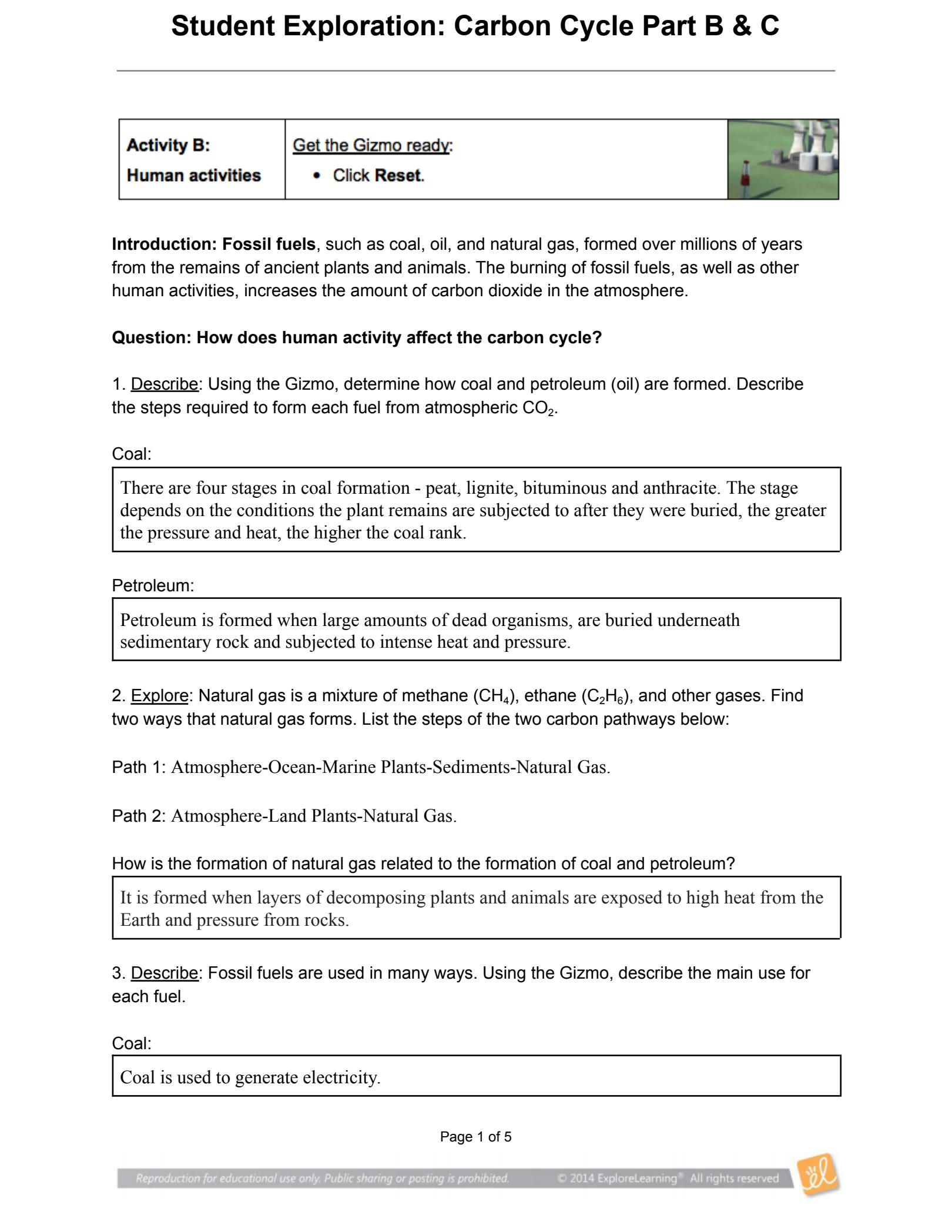 student exploration carbon cycle gizmo answer key pdf