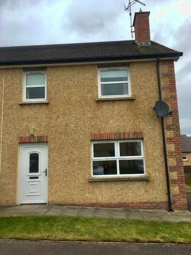 house for rent dungannon area