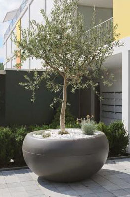 giant planters for trees