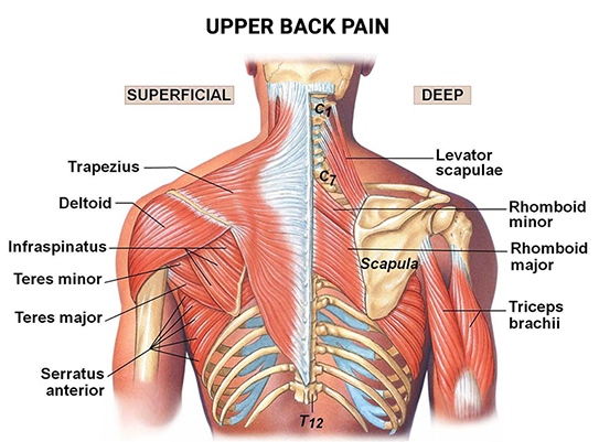 stabbing pain in upper back right side