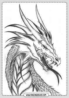 dragon dibujo