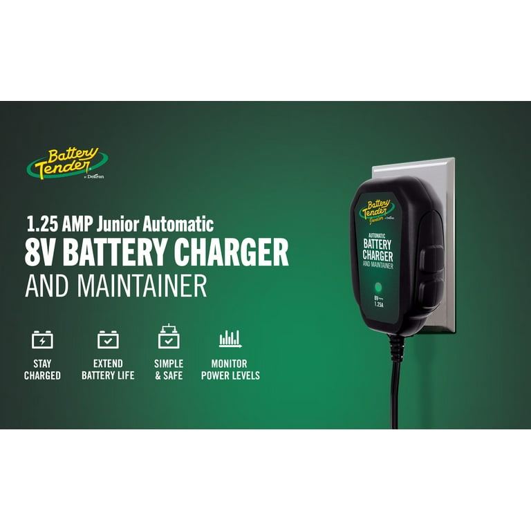 8 volt battery charger