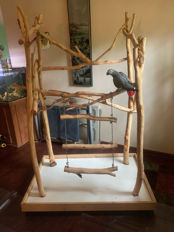 parrot stand