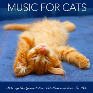 cat music for cats