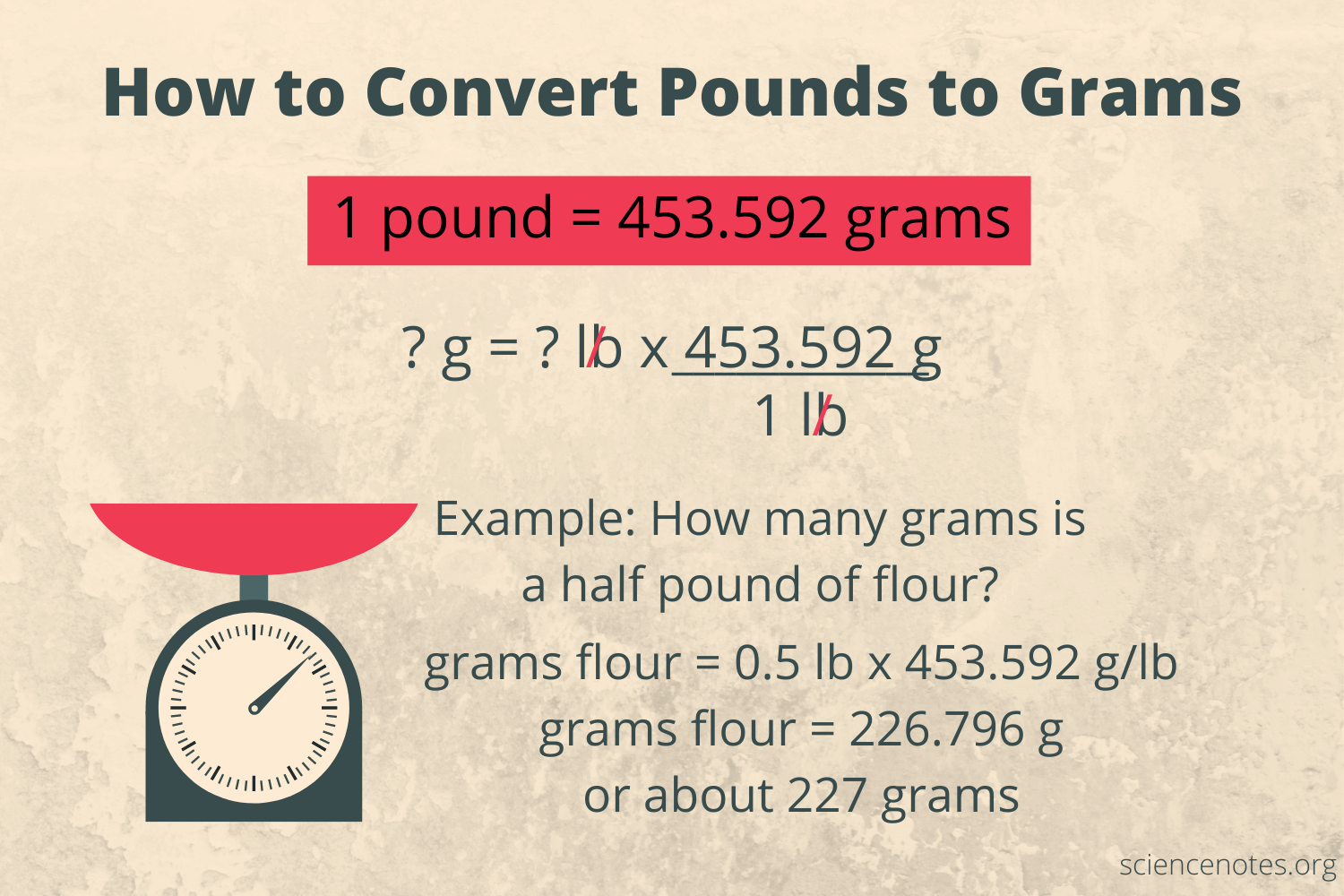 pound to grams conversion