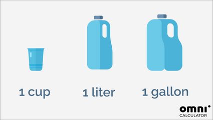 how much liter is a gallon