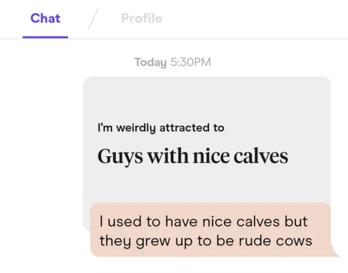 funniest hinge responses