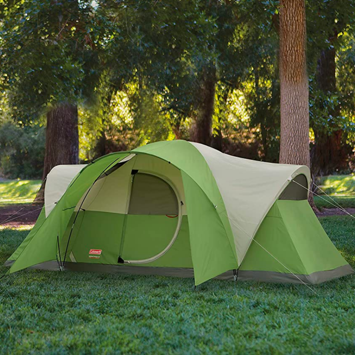 coleman tents 8-person