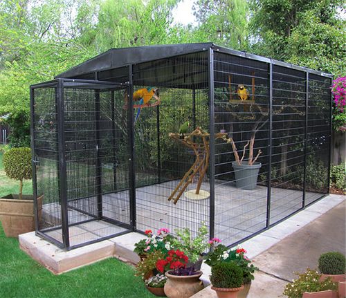 outdoor parrot cage