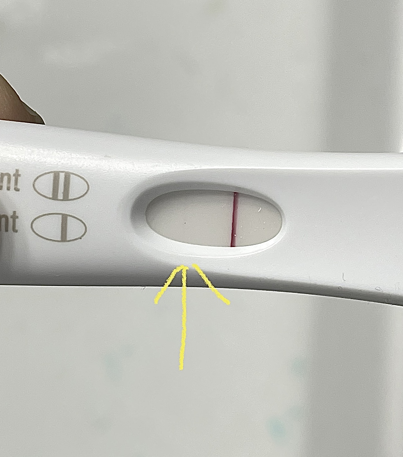 10 dpo