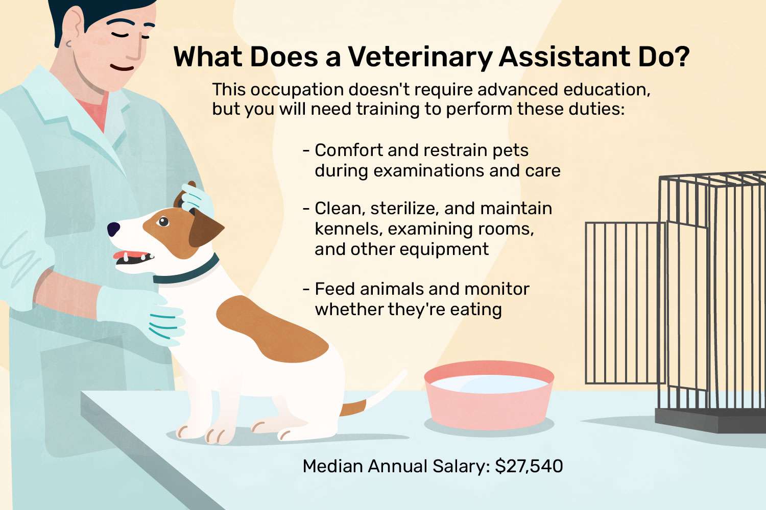 veterinary assistant salary