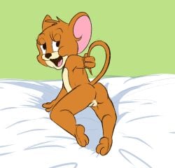 jerry mouse rule 34