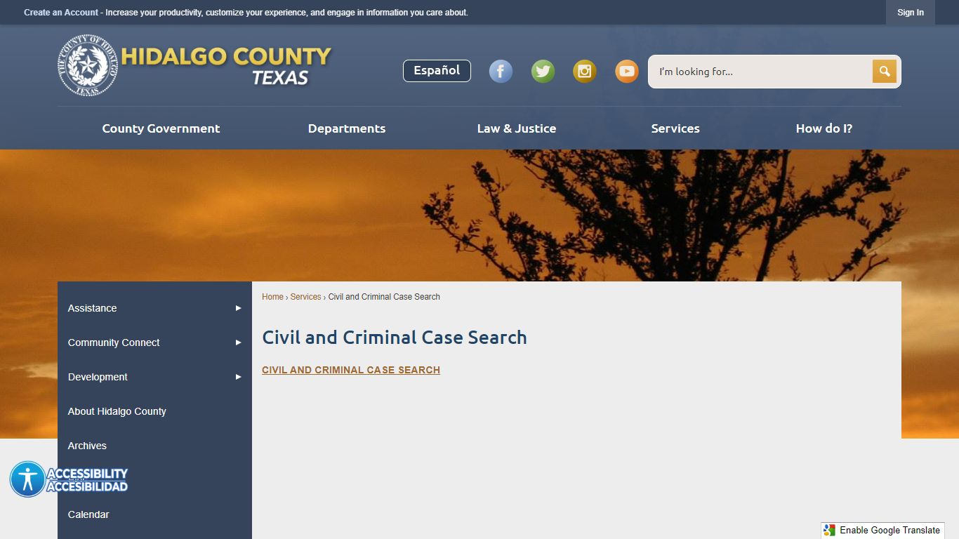 hidalgo county case search