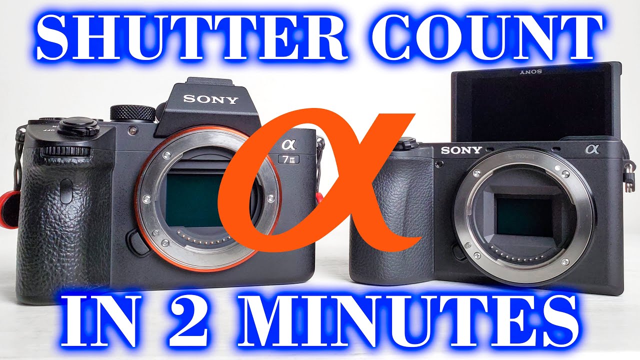 check shutter count sony a6000