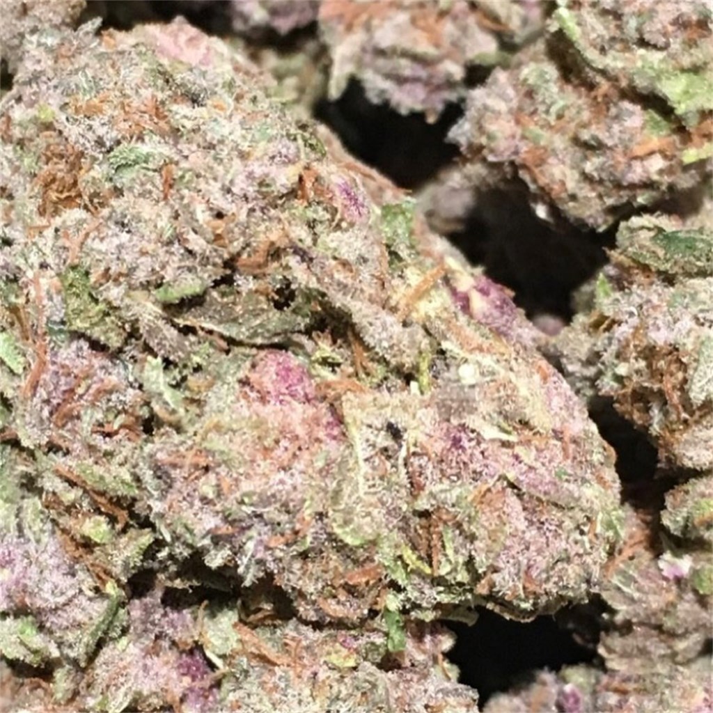 pink snapple strain