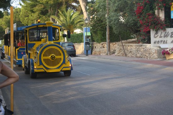 bus cala dor