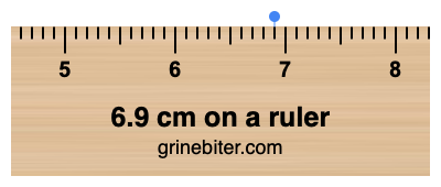 6.9 inches to cm