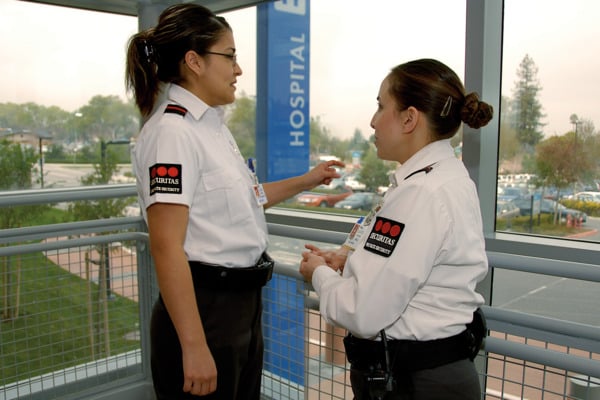 securitas jobs