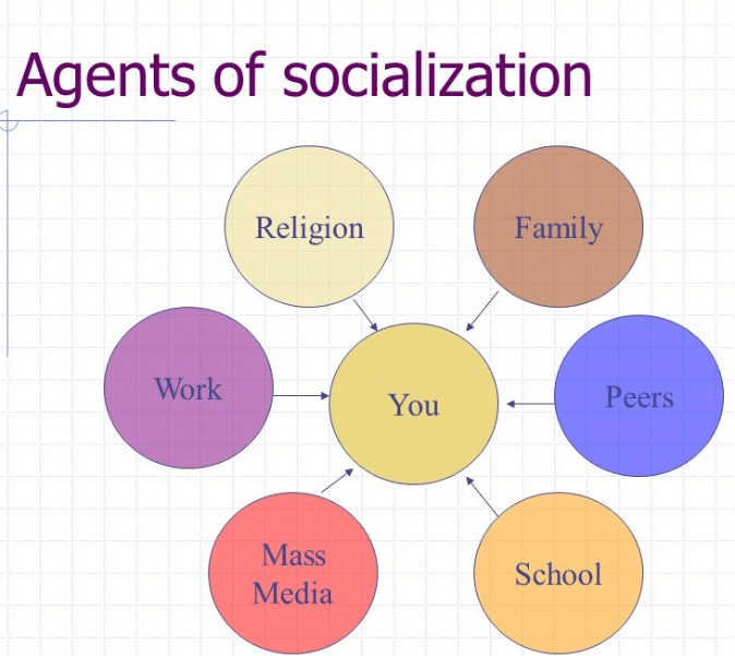 which of the following is an agent of political socialization