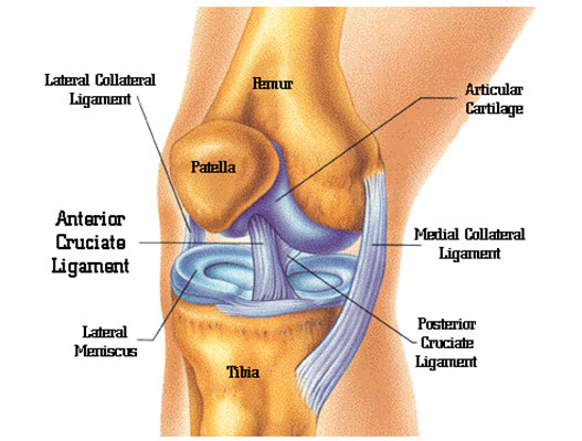 acl tear icd 10