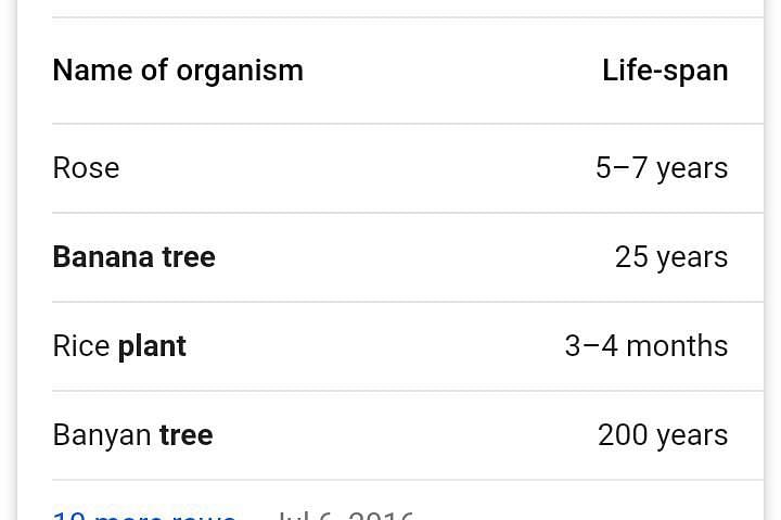 lifespan of banana tree class 12