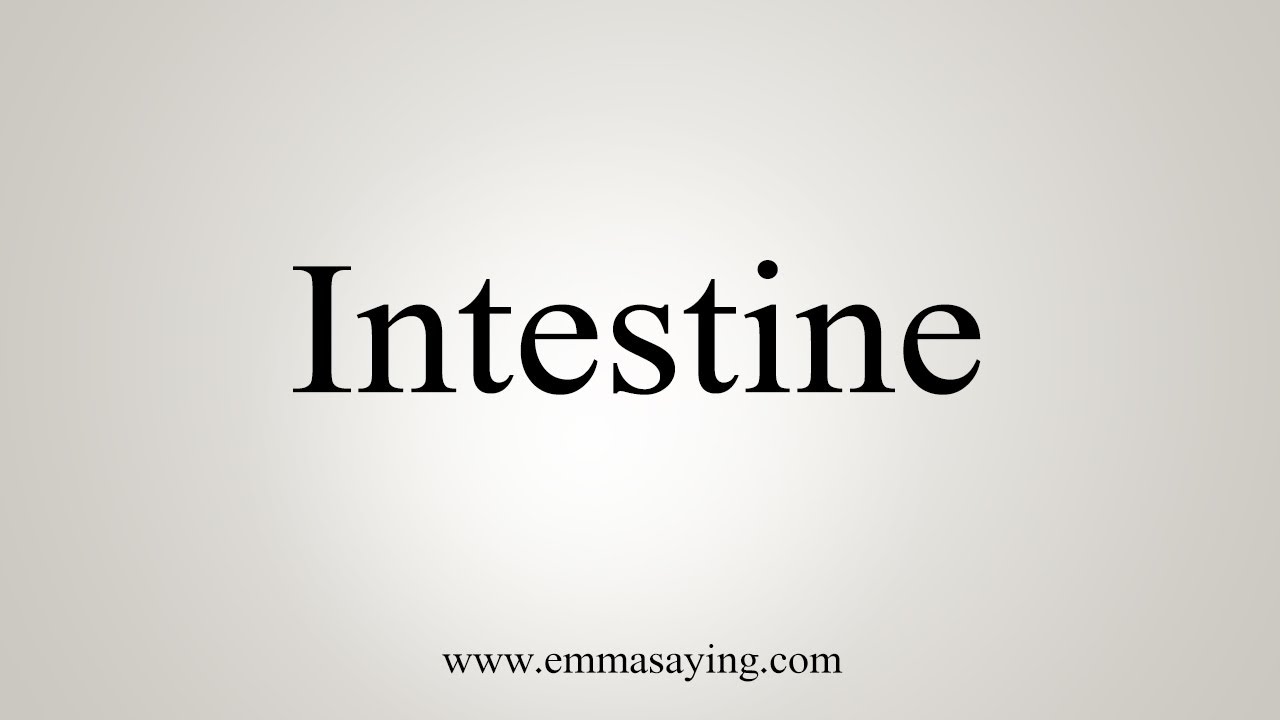 intestine british pronunciation
