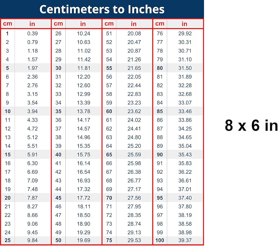 8.6 inches to cm