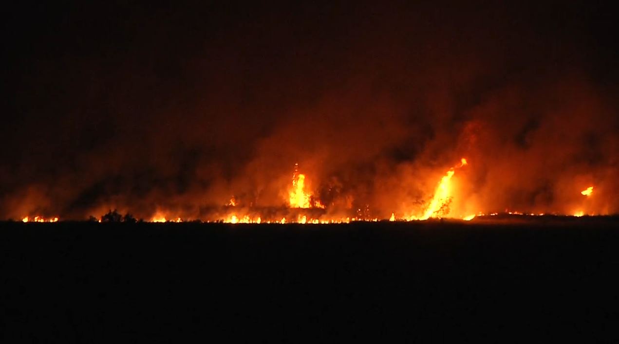 cranbrook forest fires