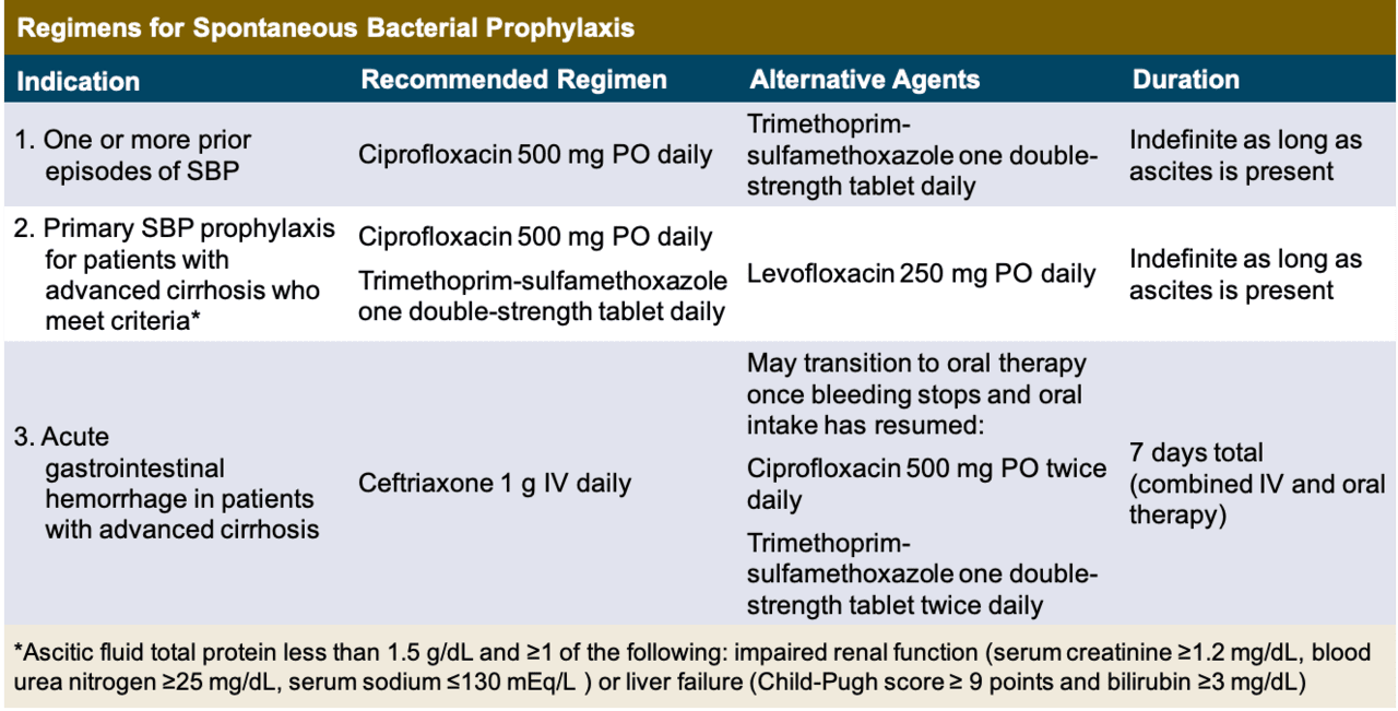 sb peritonitis