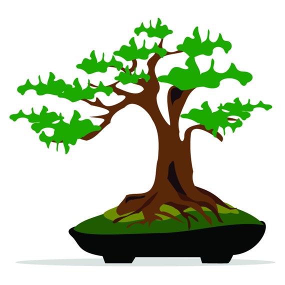 bonsai clipart