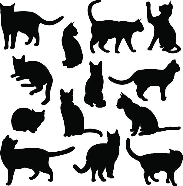 silhouettes de chats à imprimer