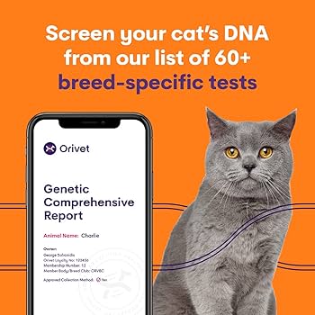 cat breed dna test uk