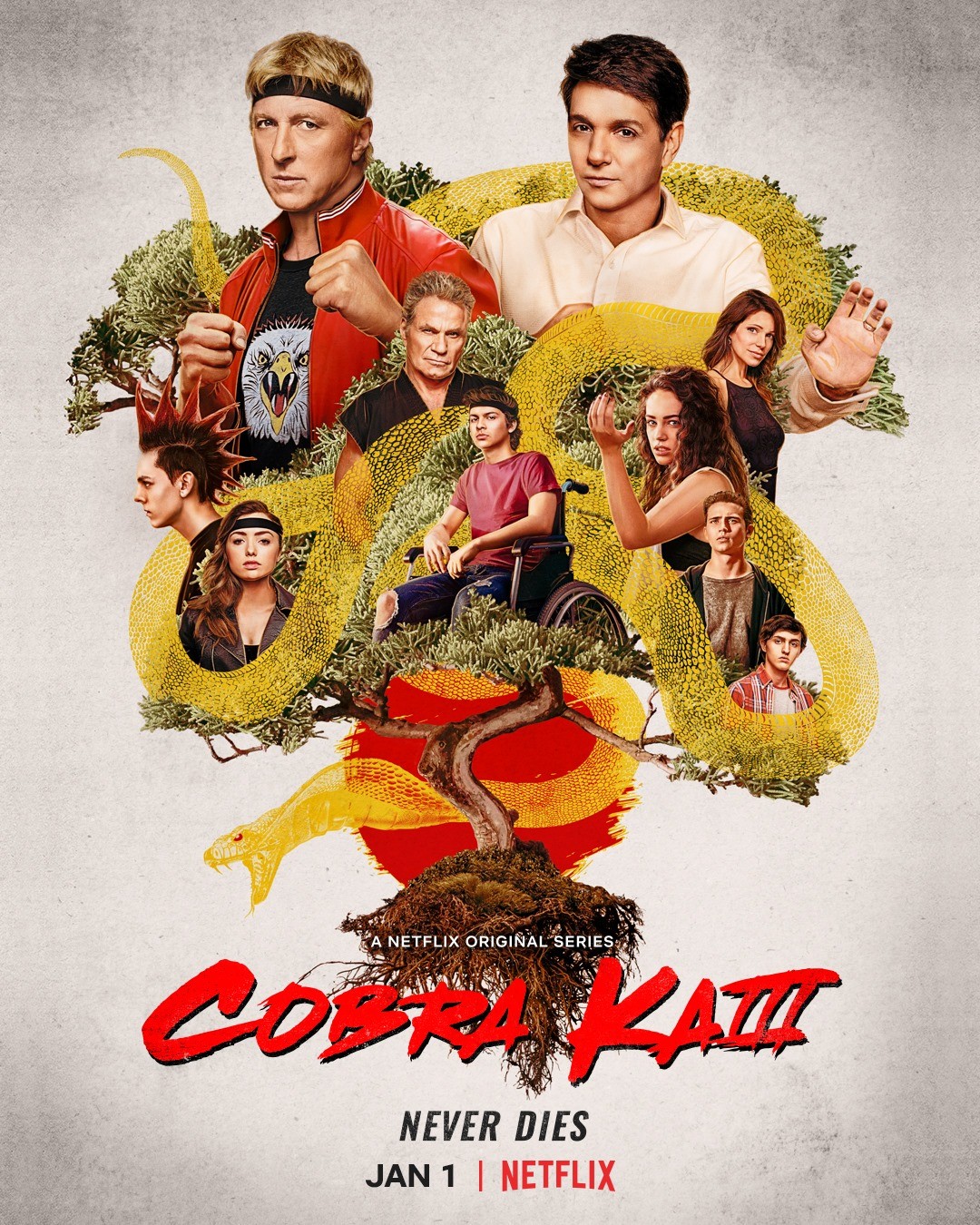 cobra kai rated