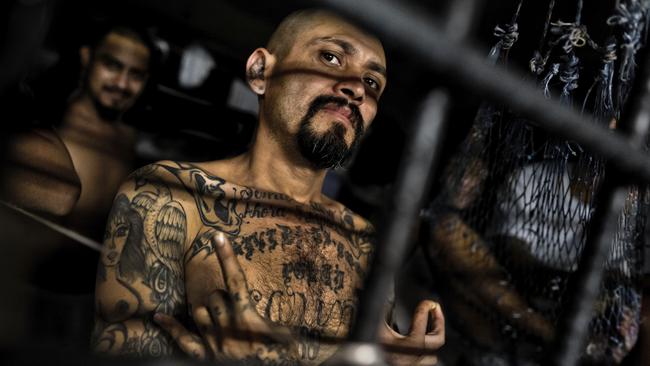 ms 13 in australia