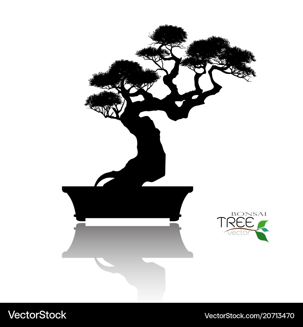 bonsai vector