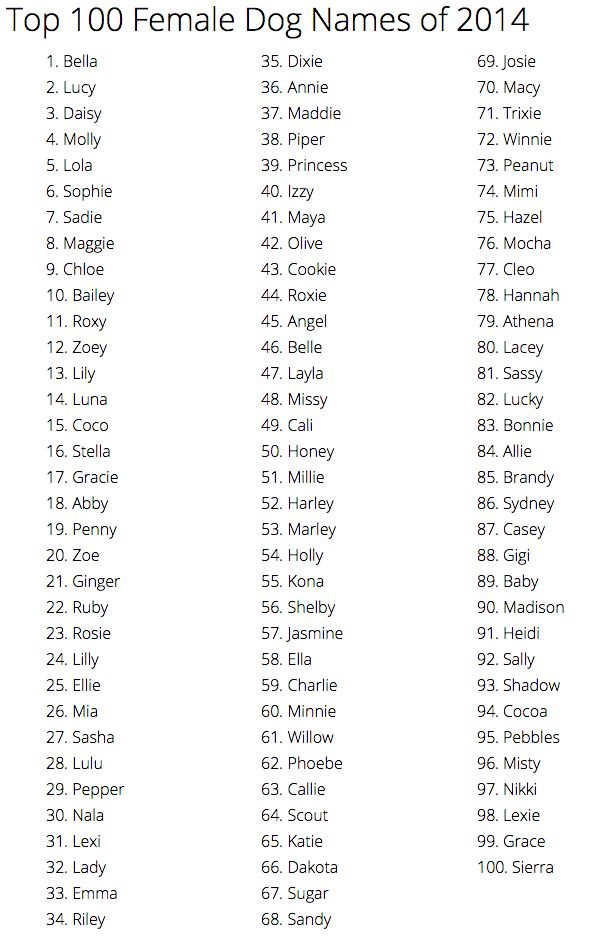 top 100 staffy dog names male