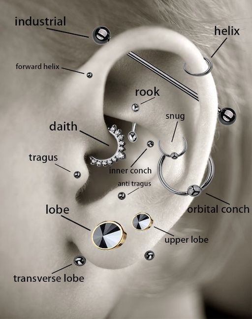 ear piercings chart