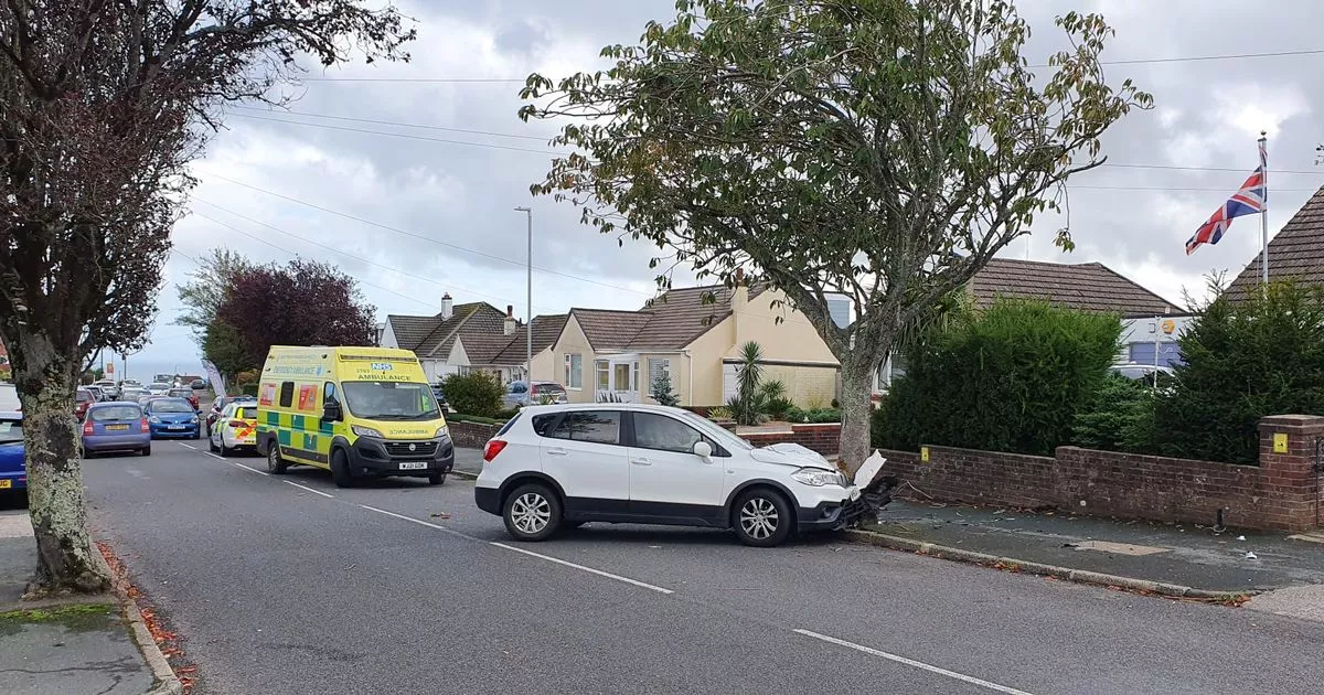 paignton accident today