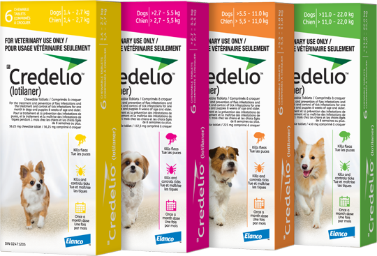 credelio for dogs canada