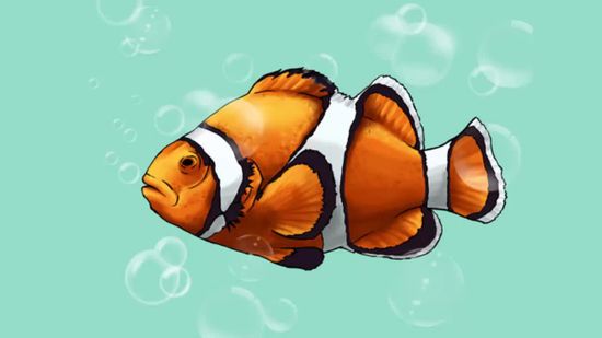 realistic fish drawing colour