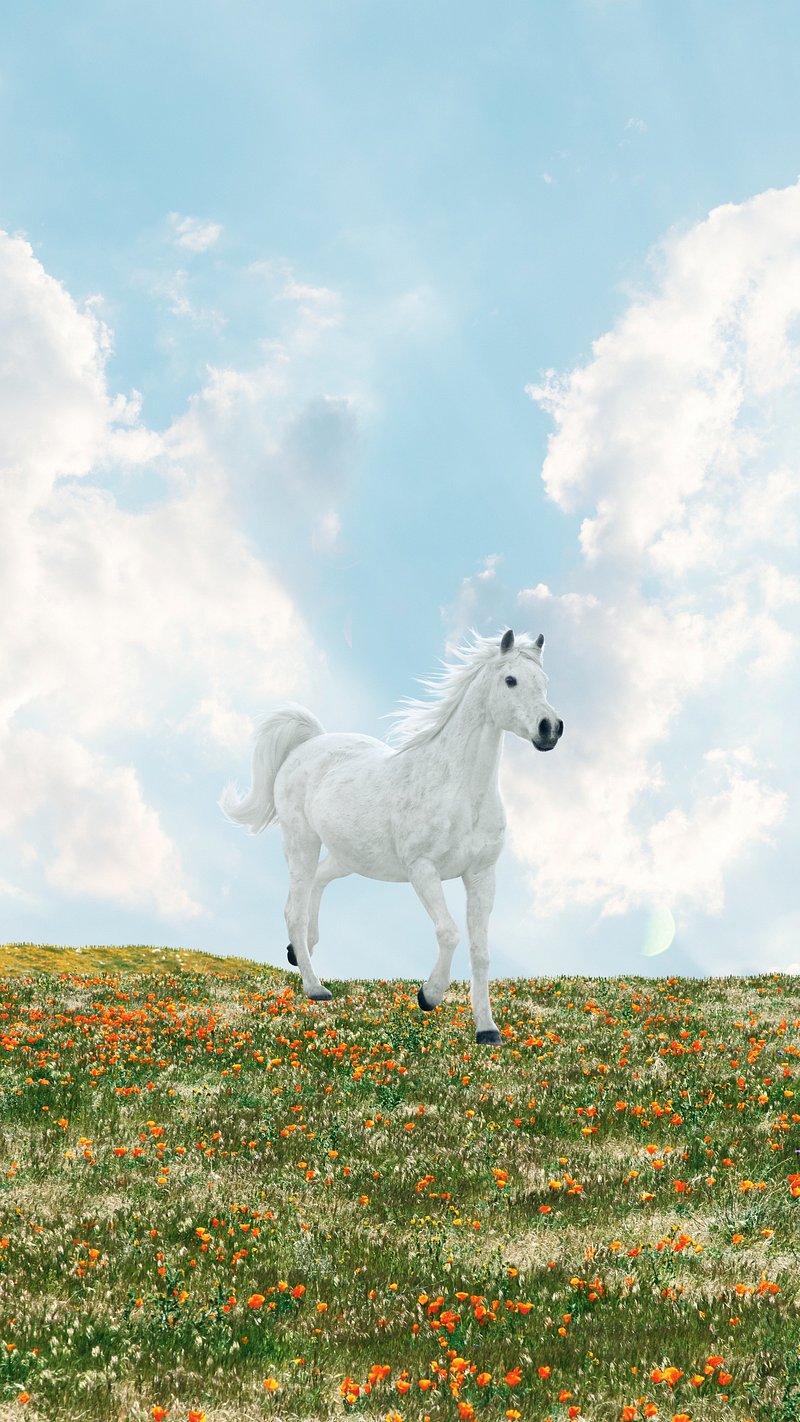 horse wallpapers aesthetic