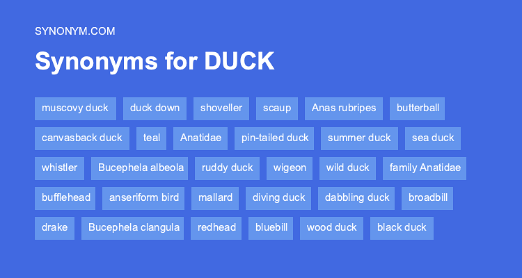 duck synonym