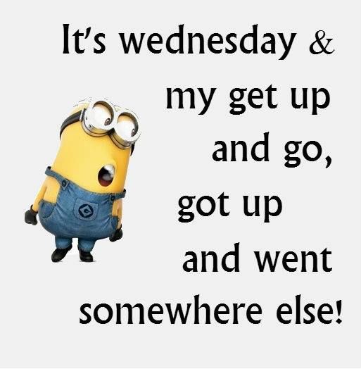 wednesday quotes funny