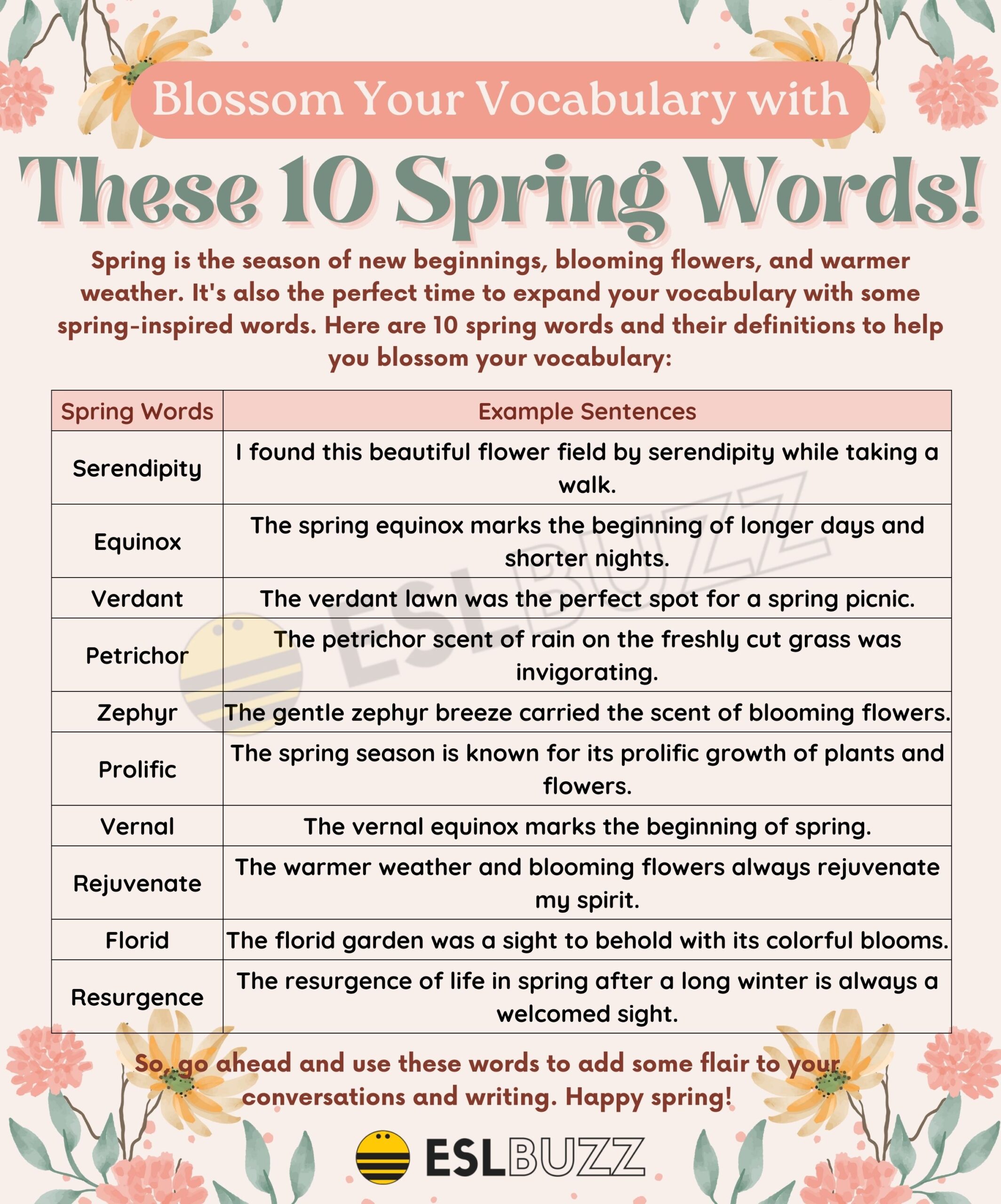 another word for spring