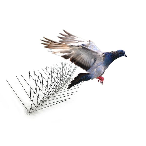 stainless steel bird spikes